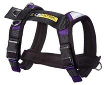 Load image into Gallery viewer, Alpine Harness - M&amp;W CANINE SHOP