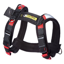 Load image into Gallery viewer, Alpine Harness - M&amp;W CANINE SHOP