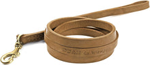 Load image into Gallery viewer, Simple Leather Lead - M&amp;W CANINE SHOP