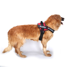 Load image into Gallery viewer, Harness W/Custom Patch - M&amp;W CANINE SHOP
