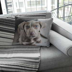 Personalized Pillow - M&W CANINE SHOP